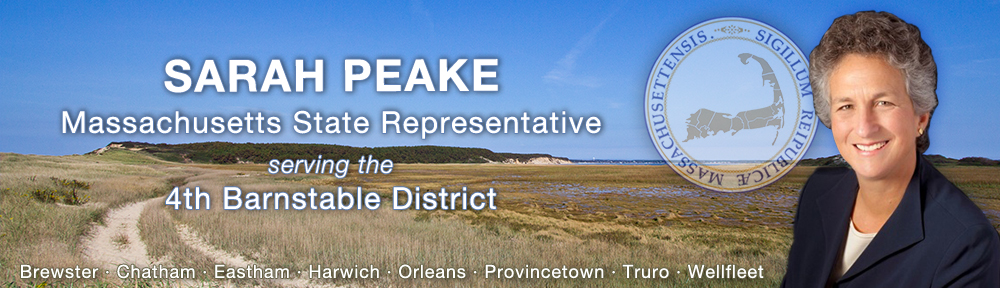 sarahPeakeHeader-2 Sarah Peake for State Representative
